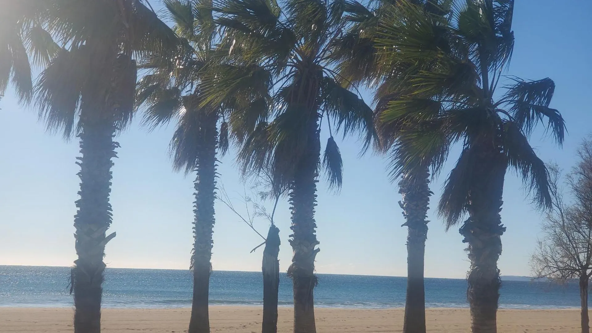 Le Must Cap Hermes, Incroyable Vue Sur Port, T2- Frejus